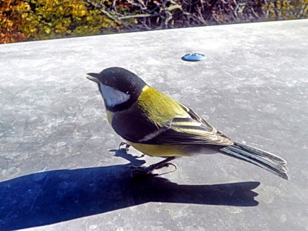 DSCN7613.jpg