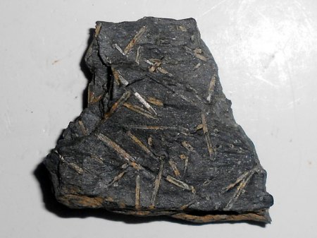 Chiastolithschiefer Schamlesberg b. Gefrees,Fichtelgebirge.JPG