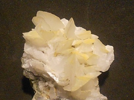 Calcit Burgk,ThüringenRSCN7941.JPG