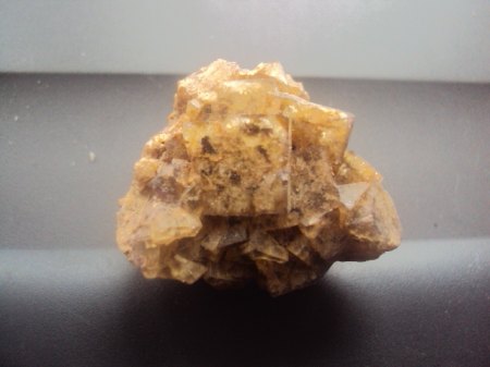 Heutiger Erwerb 015.JPG