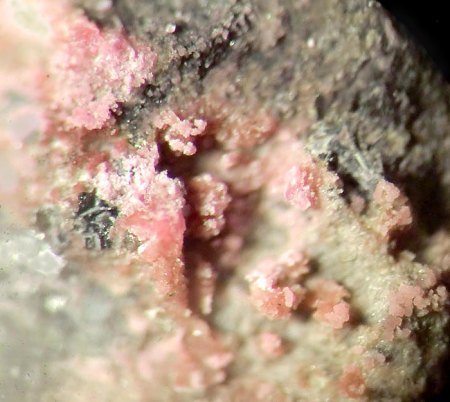 _Kobaltkoritnigit_Erythrin_BB 4 mm_Jachymov_Böhmen_Tschech.Rep._Peter_1.jpg