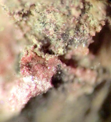 _Kobaltkoritnigit_Erythrin_BB 4 mm_Jachymov_Böhmen_Tschech.Rep._Peter_2.jpg
