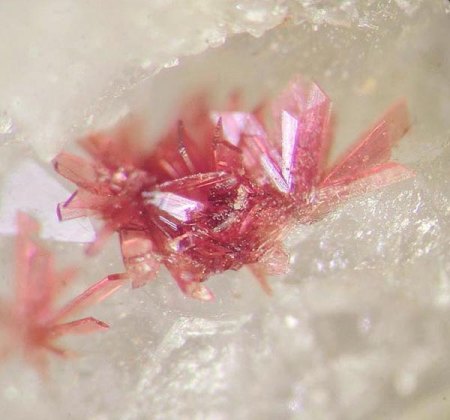 _Erythrin xx_BB 4 mm_Grube Adam Heber_Schneeberg_Erzgebirge_Sachsen_Peter_1.jpg