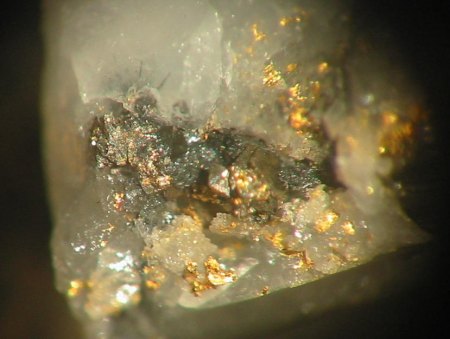 Gold (Brandholz).jpg
