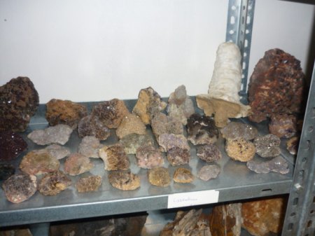 neu2 012.JPG