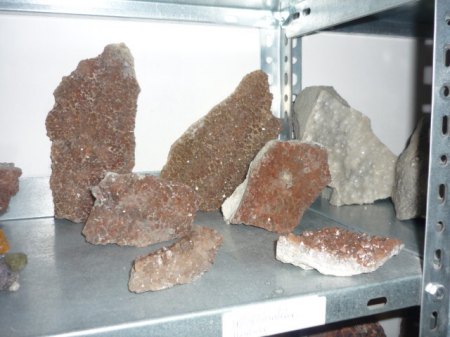 neu2 015.JPG