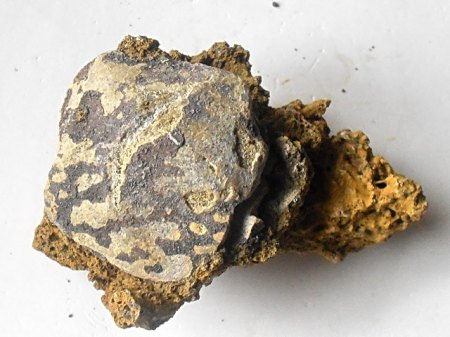 Silikat-Xenolith (3) Emmelberg,Eifel.JPG