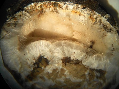 Natrolith (3) Arensberg,Eifel.JPG