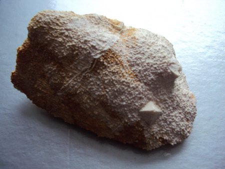 Tauscherwerbe012015neu 006.JPG
