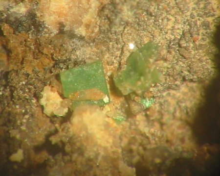 Torbernit (Ruhla).jpg