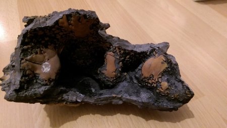 mineral4.jpg