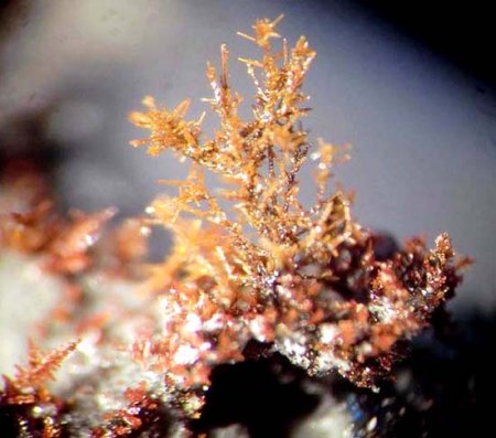 _Bindheimit xx-Bäumchen_6 mm_Zinkhütte Genna_Letmathe_Iserlohn_Sauerland_NRW_Peter_1b.jpg