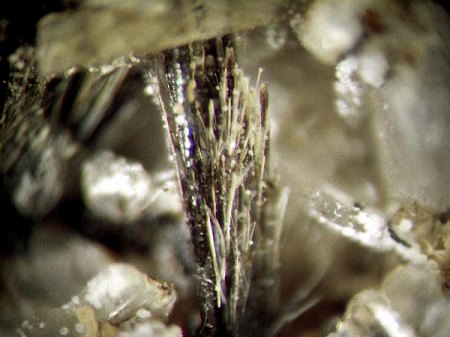 _Rhabdophan-(Ce) xx Kristallskelette_MM_Mendig_Laacher See_Eifel_Peter.jpg