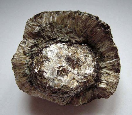 Hermanover Kugel_Anthophyllit-Kranz um Phlogopit-Kern_Hermanov_Tschech Rep._Peter.jpg