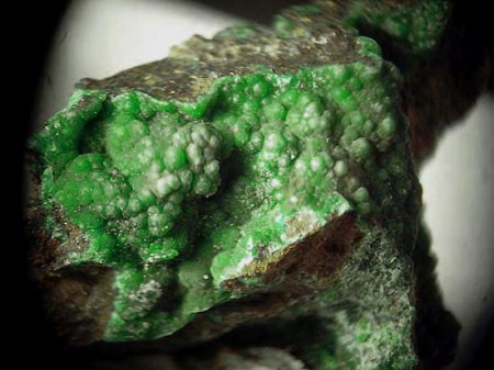 Konichalcit xx_BB 6mm_Kleinstufe_Große Halde Kamariza_Lavrion_Attika_Griechenland_Eigenfund 0698_Peter1.JPG