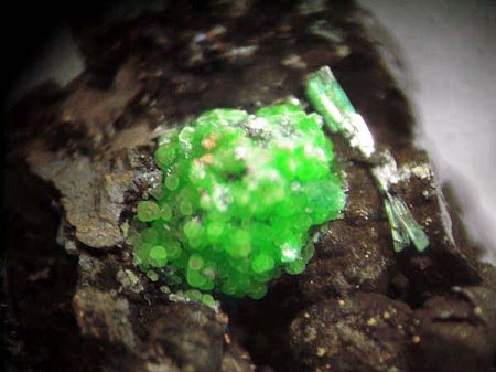 _Konichalcit xx_Olivenit xx_MM_Christiana Stollen_Kamariza Rev._Lavrion_Attika_Griechenland_Peter.JPG