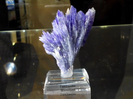 RSCN8429.jpg