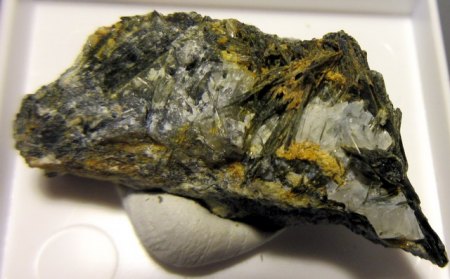 Aktinolith (1) Stemmas.JPG