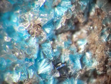 _Cavansit Rosetten_Calcit xx_BB 5 mm_Owyhee Dam_Malheur Co._Oregon_USA_TL_Peter_1d.jpg