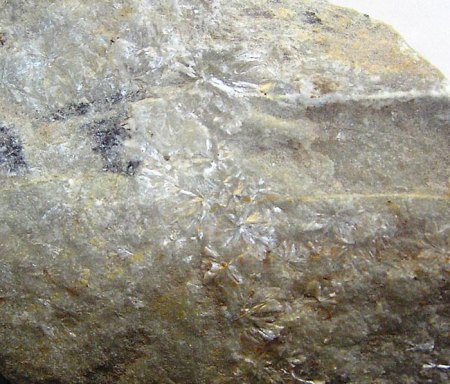 _Vantasselit xx_Ausschnitt aus KS_Bihain_Stavelot Massiv_Belgien_Peter.jpg
