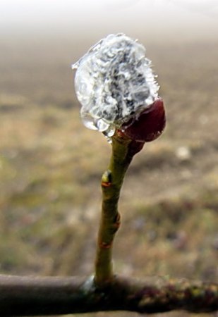 IMG_1598.jpg