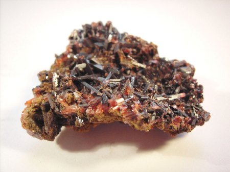 _Krokoit xx_Limonit- o. Coronadit-Überzug_4,5 cm Breite_Dundas_Tasmanien_Australien_Peter_1b.JPG