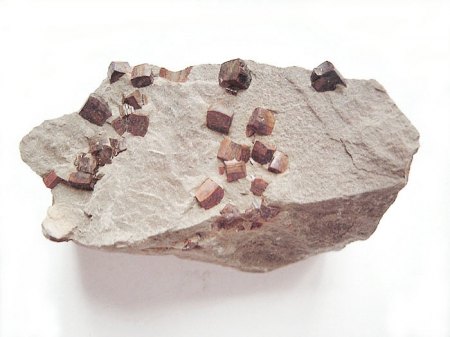 _Pyrit xx bis 5 mm_Limonitüberzug in Keupermergel_5 cm_Extertal_Ostwestfalen_NRW_Peter.JPG