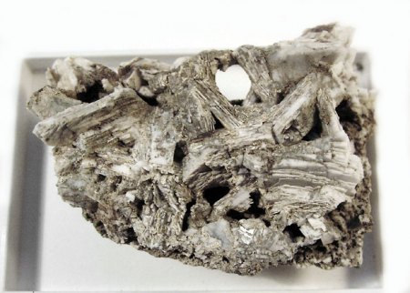 _Feldspat xx_Kaolin_Limonit auf Granit_Blattbachrinne_Habachtal_Moaralm_Hohe Tauern_Salzburg_Österreich_Peter.JPG