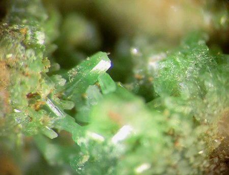 _Pyromorphit xx_BB 4 mm_Schauinsland_Freiburg_Baden_BaWü_Peter_2c.JPG