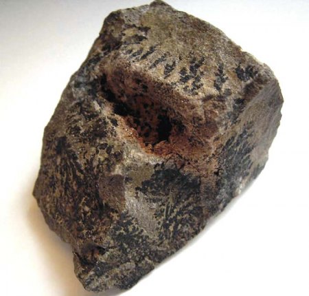 Mangan-Dendriten_Eigenfund 95_Altenmittlau_Maingebiet_Peter_2c.JPG
