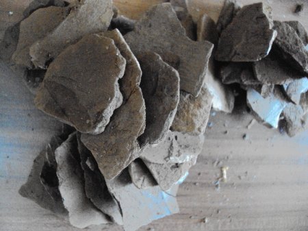 Fossilienpräparation 004.JPG