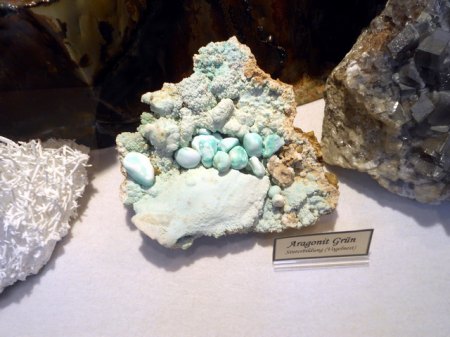 DSCN2566.jpg