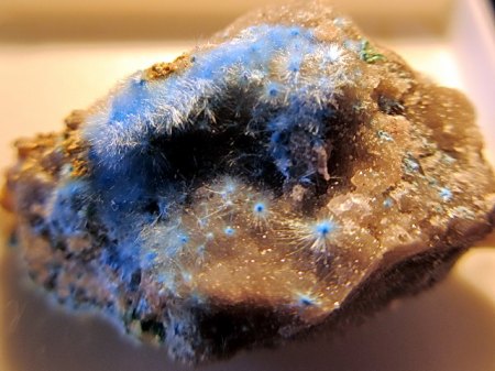 Cyanotrichit Dachand,Guizhou,China.JPG