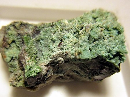 Rruffit,Konichalcit Tierra Amarilla,Chile (1).JPG
