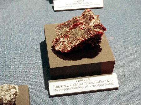 _Bad Ems_Mineralienbörse_April 2015_Peter_Sonderausstellung Russland_Villiaumit_Kola.JPG