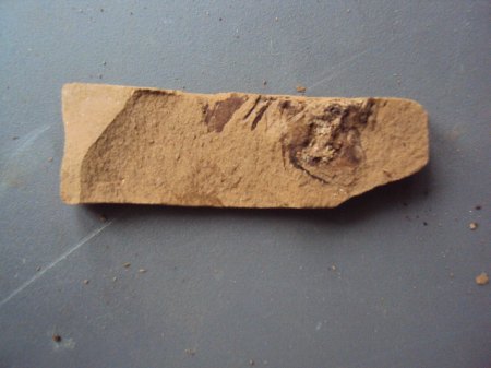 Fotos Fossis Mineralien 034.JPG
