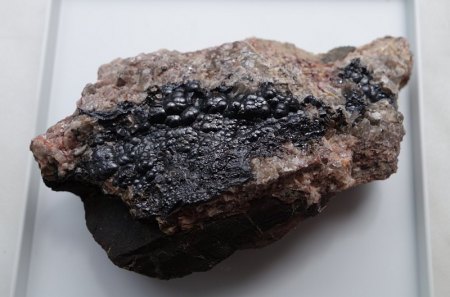 pribram_16_1.jpg