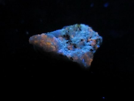 Walsrömit im UV-Licht-Vorderseite-.JPG