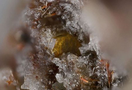 Almarudit-Bellerberg_69-2,5 mm-FB.jpg