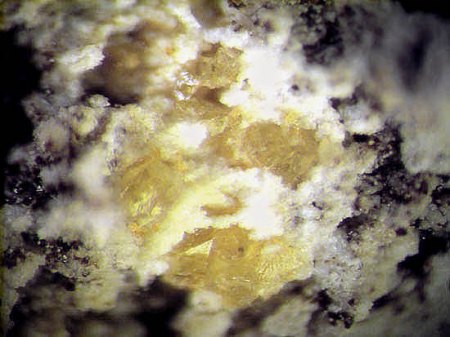 Gehlenit xx Bellerberg_Ettringen_Eifel_Peter.JPG