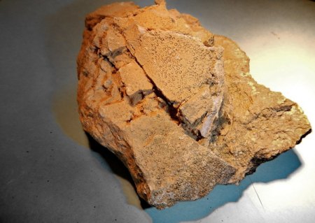 DSCN5562.jpg