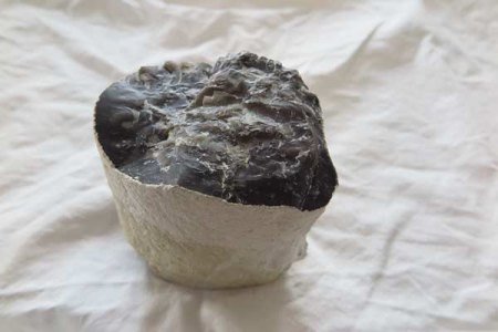 si_evtl-silex.jpg