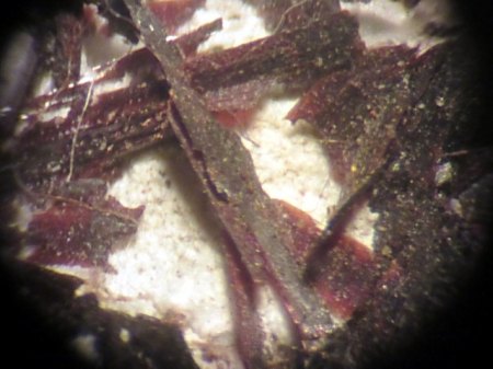 Hübnerit (2( Adams Mine,Colorado.JPG