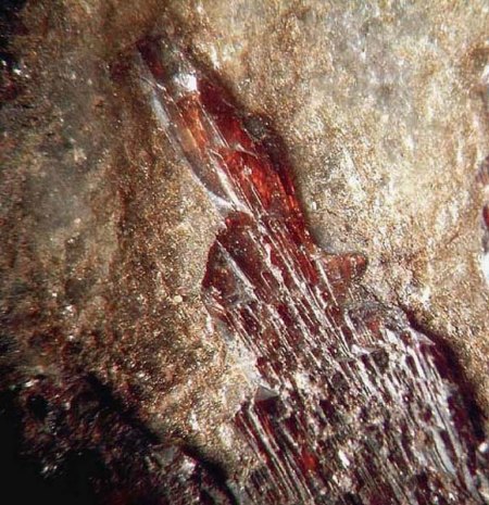 Landesit_Paraiba_Brasilien_Peter_1a.JPG