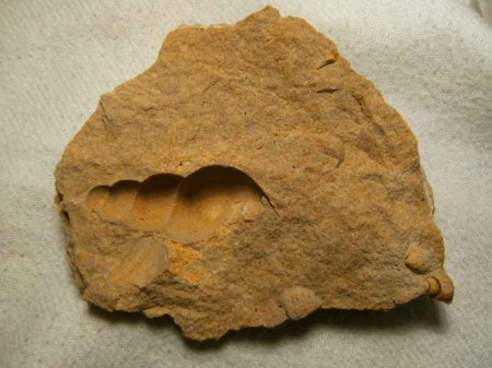k-BILD4218 - Kopie.jpg