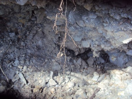 Pribram etc 008.JPG