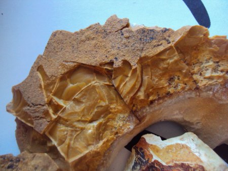 Henneberg Burgk etc 048.JPG