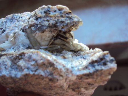 Henneberg Burgk etc 053.JPG