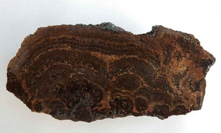 k-DSCN5449.JPG