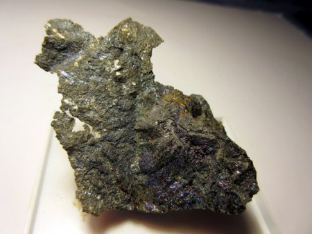 Silberblech auf Bornit San Martin,Sombrerete,Mexiko.JPG